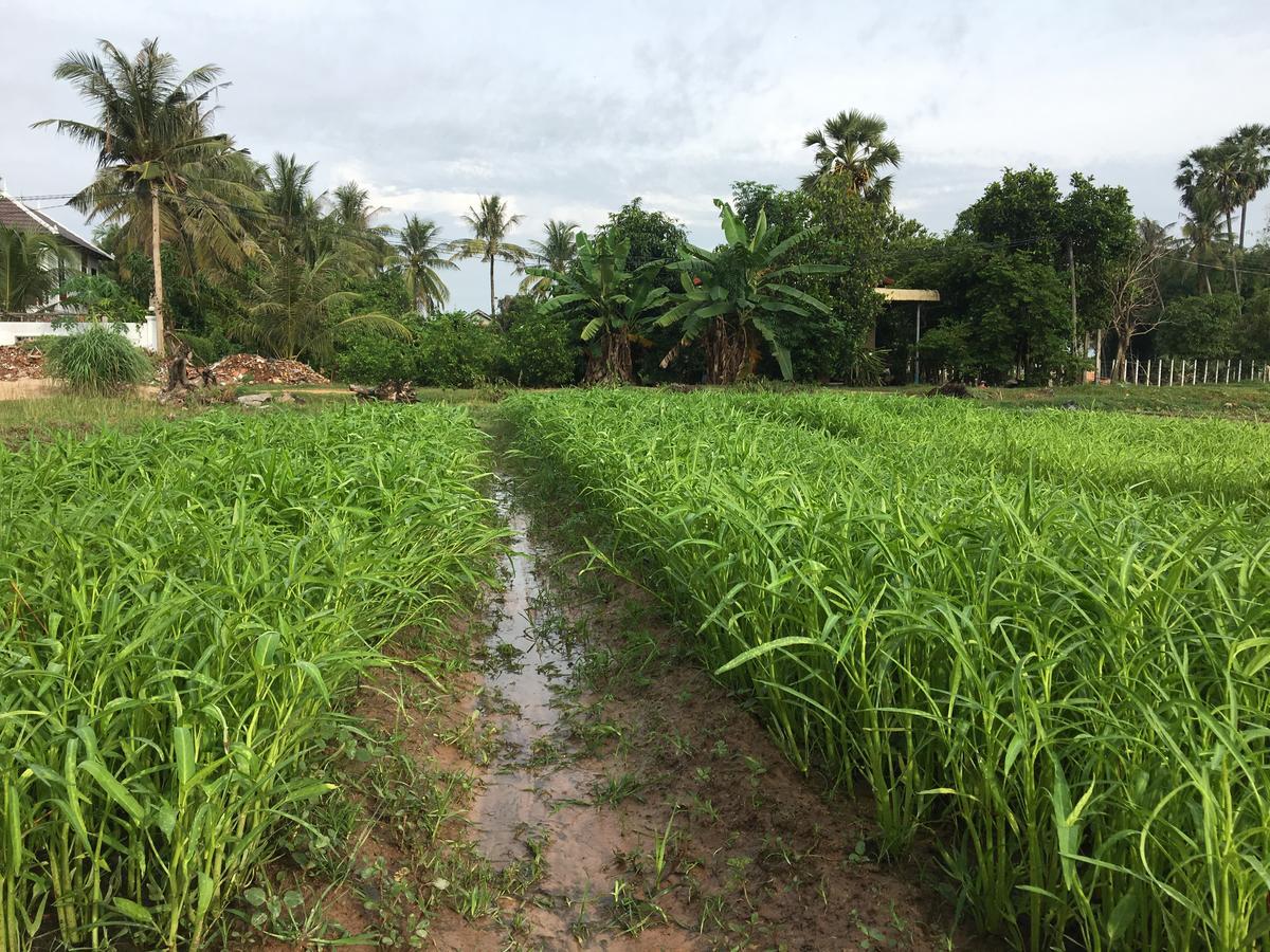 Green Life Cottage سيام ريب المظهر الخارجي الصورة