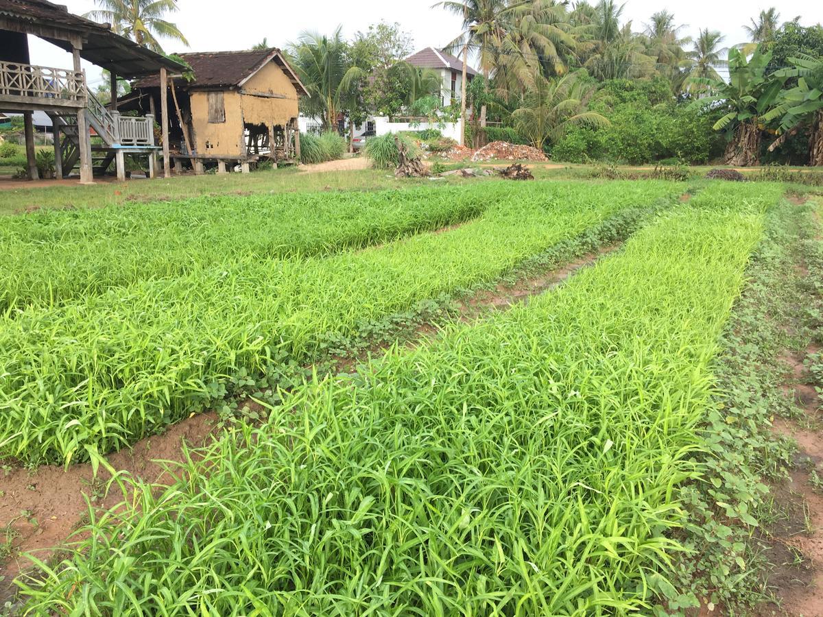 Green Life Cottage سيام ريب المظهر الخارجي الصورة